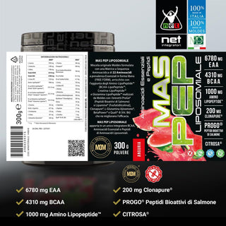 NET MAS PEP LIPOSOMIALE Pre-Intra e Post Workout con EAA Amminoacidi Essenziali e BCAA, Massimizza la Sintesi Proteica, la Crescita e il Recupero Muscolare