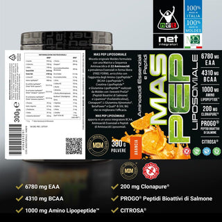 NET MAS PEP LIPOSOMIALE Pre-Intra e Post Workout con EAA Amminoacidi Essenziali e BCAA, Massimizza la Sintesi Proteica, la Crescita e il Recupero Muscolare