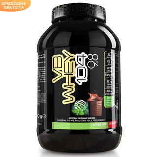 NET VB WHEY 104 9.8® Proteine Isolate Idrolizzate (OPTIPEP® 90 PRO), Con Aggiunta di Fermenti Lattici,  Enzimi digestivi, Minerali  Alcalinizzanti,  Ricca di BCAA e Peptid. Barattolo 900 gr