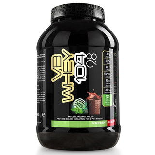 NET VB WHEY 104 9.8® Proteine Isolate Idrolizzate (OPTIPEP® 90 PRO), Con Aggiunta di Fermenti Lattici,  Enzimi digestivi, Minerali  Alcalinizzanti,  Ricca di BCAA e Peptid. Barattolo 900 gr