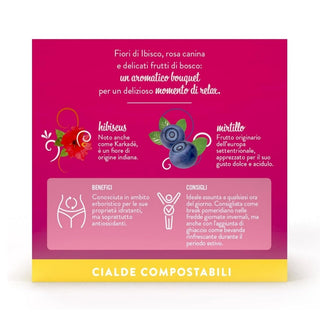 Caffè Borbone Tisana Ai Frutti di Bosco 72 Cialde Compostabili (4 Astucci da 18 Cialde)